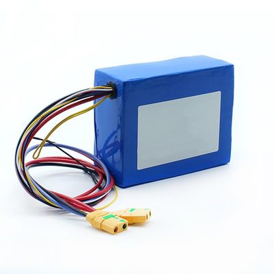 SGS 13s 48v 24Ah 21700 Li Polymer Battery Pack BIS MSDS